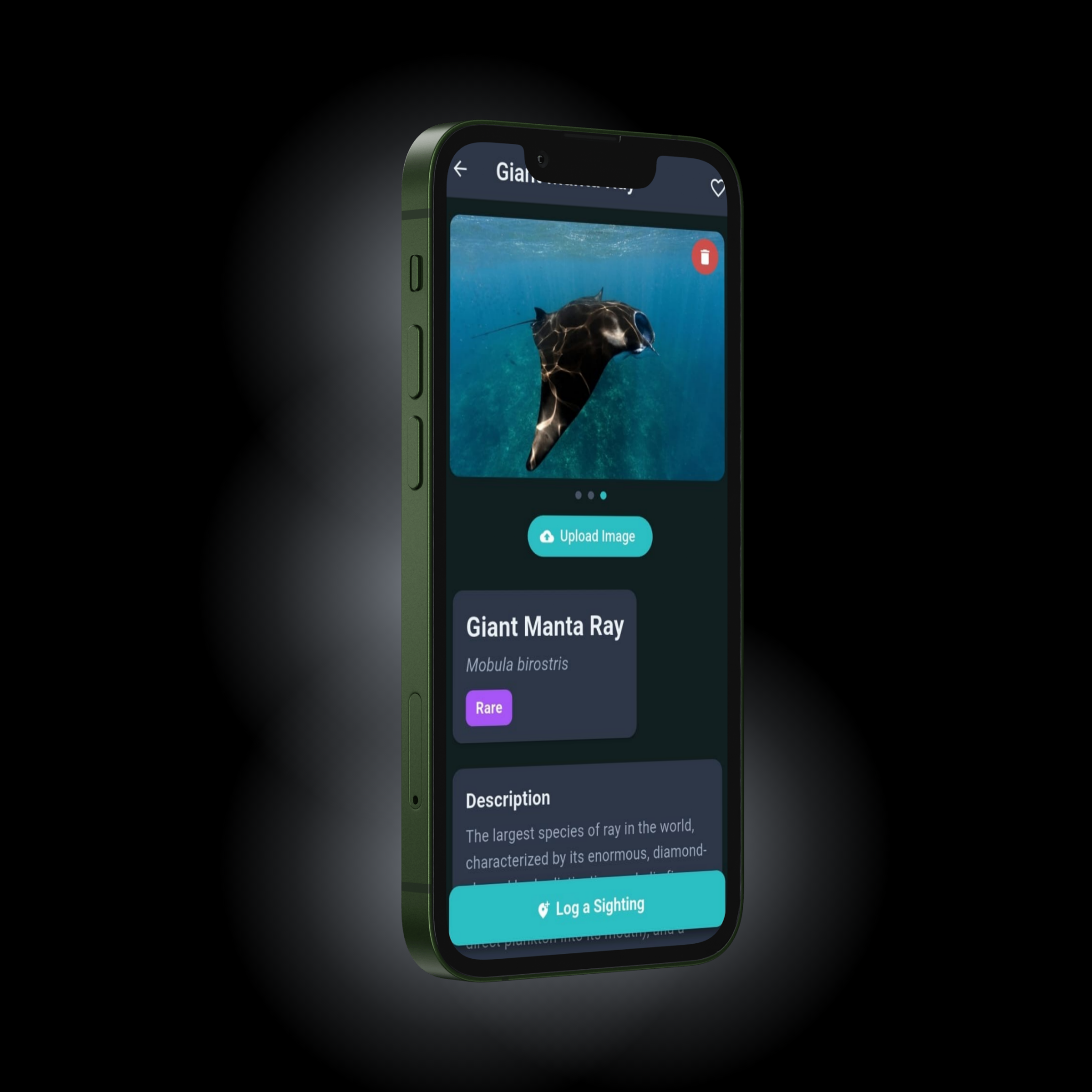 Tidalink App on Phone